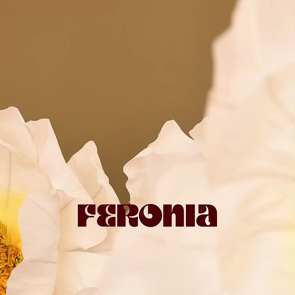 Cargar video: 